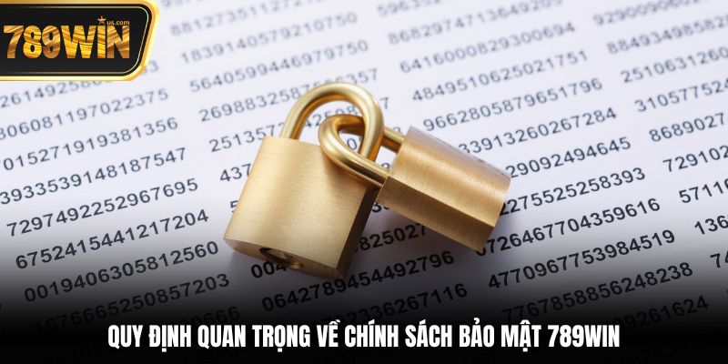 Chính Sách Bảo Mật Quyền Riêng Tư Người Dùng Tại 789win 5 Quy định quan trọng về chính sách bảo mật 789win