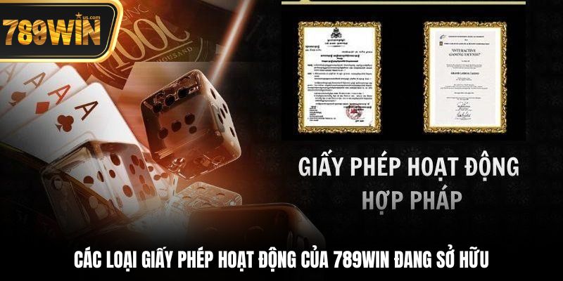 Các loại giấy phép hoạt động của 789win đang sở hữu